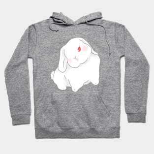 REW Baby Rabbit | Bunniesmee Hoodie